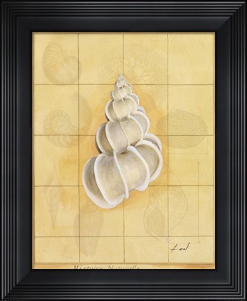 Framed Shell Grid I Print