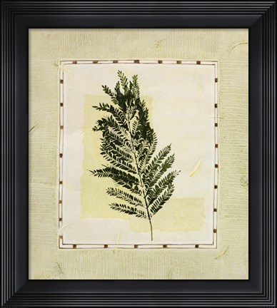 Framed Green Splendor II Print