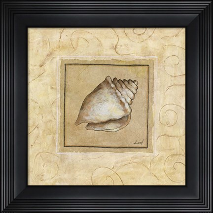 Framed Conch Shell Print