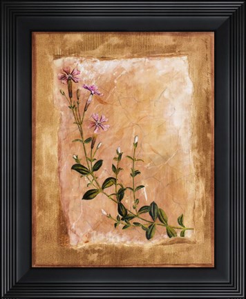 Framed Botanical I Print