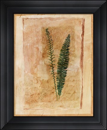Framed Botanical II Print