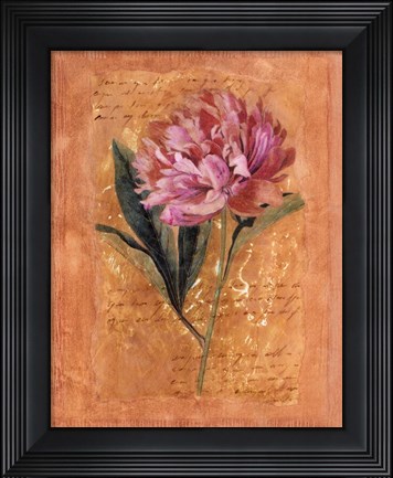 Framed Botanical III Print