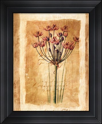 Framed Botanical IV Print