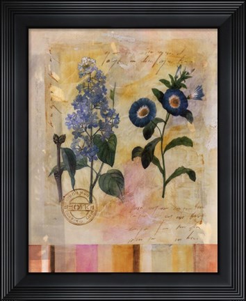 Framed Floral Postcard II Print