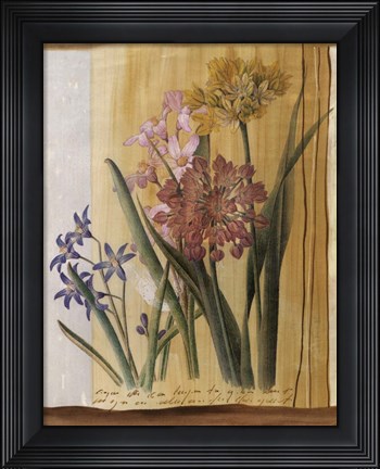 Framed Floral Postcard I Print