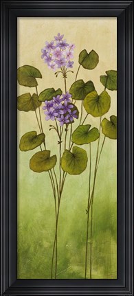 Framed Wild Flowers II Print
