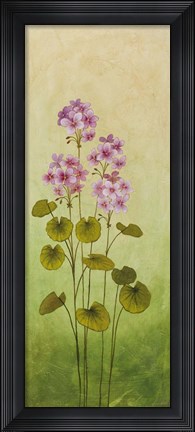 Framed Wild Flowers III Print