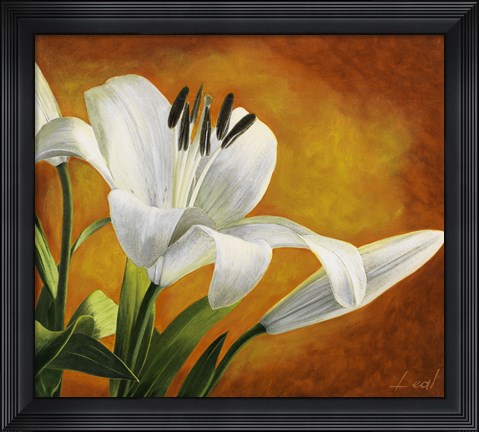 Framed Lily Bloom Print