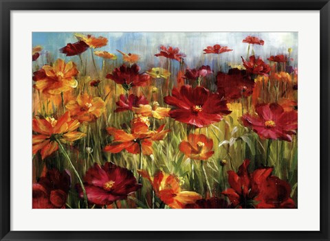 Framed Cosmos In The Field Print