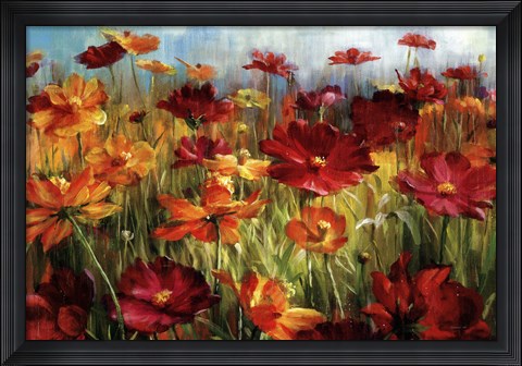 Framed Cosmos In The Field Print