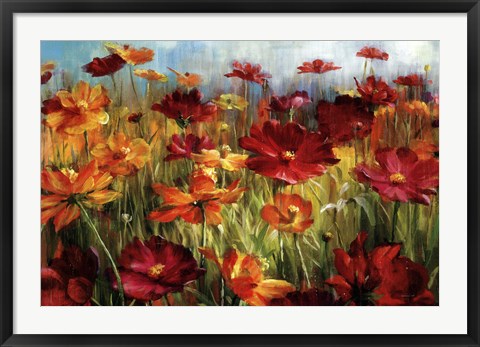 Framed Cosmos In The Field Print