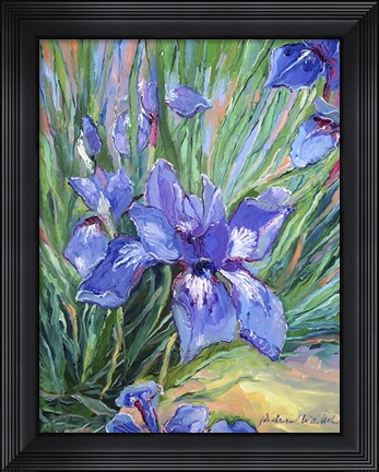 Framed Iris Print