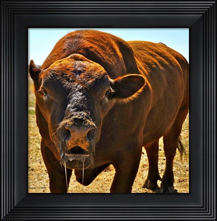 Framed Up Close and Personal Print