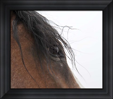 Framed Whips Eye Print