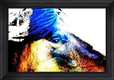 Framed Mustang Sally Print