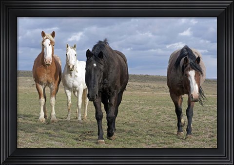 Framed Four Musketeers 2 Print