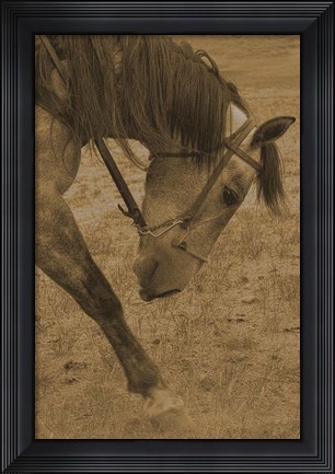 Framed Movement Print