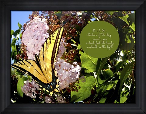 Framed Junes Yellow Monarch Print