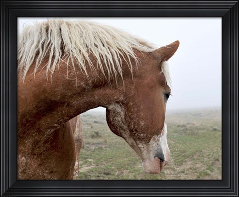 Framed Dreaming In The Mist Print