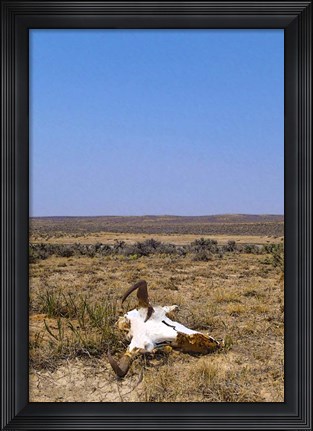 Framed Way Out West Print