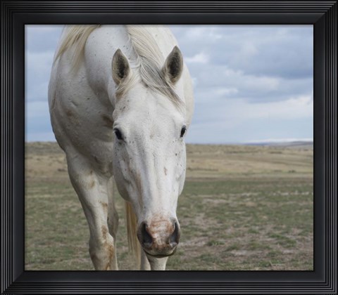 Framed Beggar Print