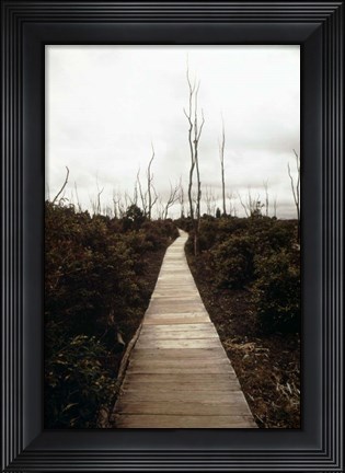 Framed Devastation Trail Print