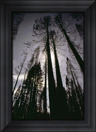 Framed Granite Fire I Print