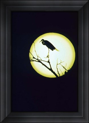 Framed Egret Silhouette Print