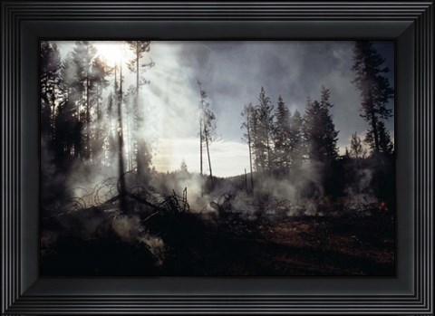 Framed Granite Fire II Print