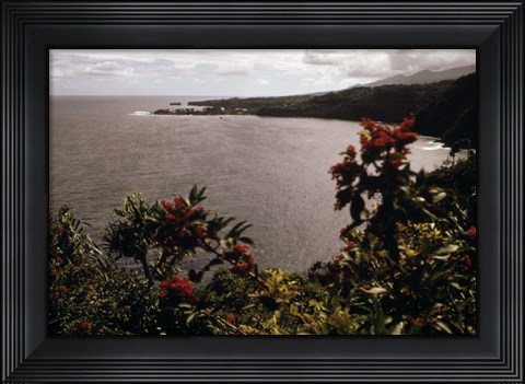 Framed Honomanu Bay Print