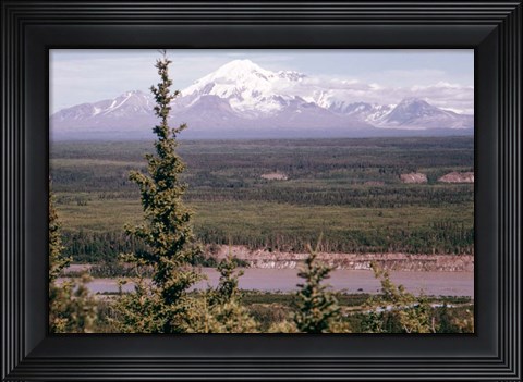 Framed Mt Drum Print