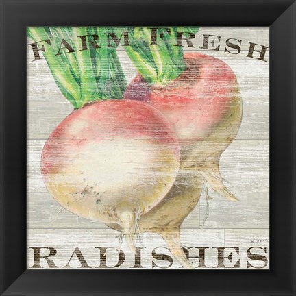 Framed Farm Fresh Radishes Print