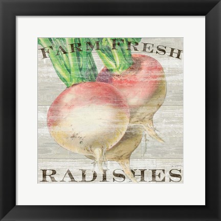 Framed Farm Fresh Radishes Print