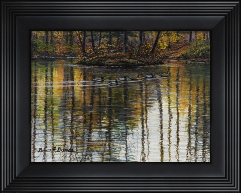 Framed Autumn Mallards 1 Print