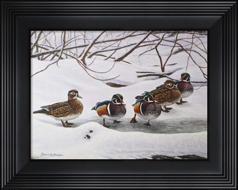 Framed Winter Wood Ducks Print