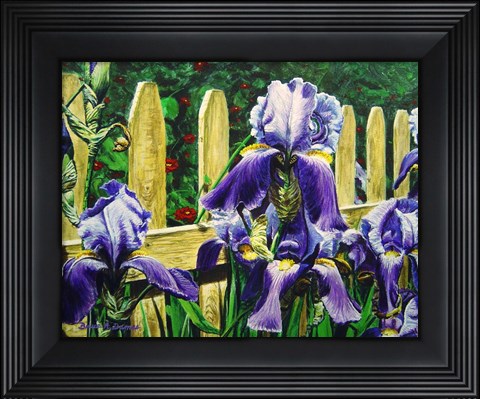 Framed Iris By The Fence Print