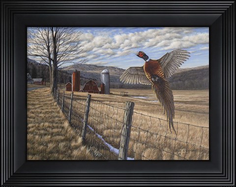 Framed Pheasant Print