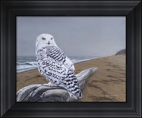 Framed After The Storm Print