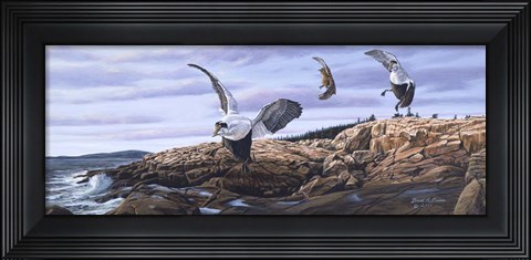 Framed Acadia Visitors Print