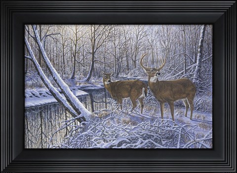 Framed On Alert Print