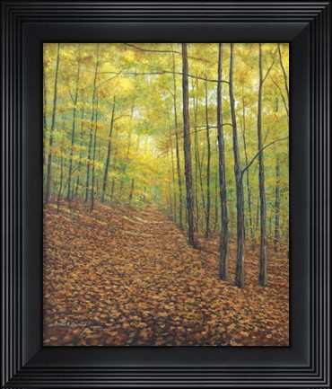 Framed Autumn Trail Print