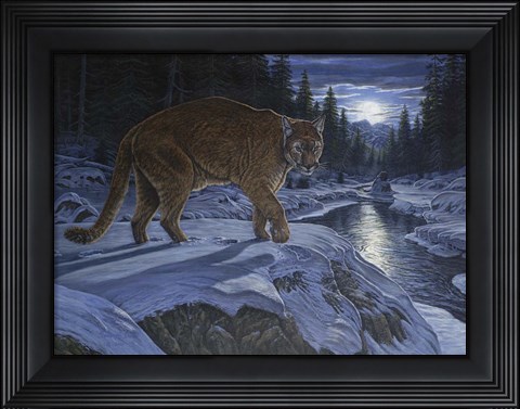 Framed Night Stalker Print