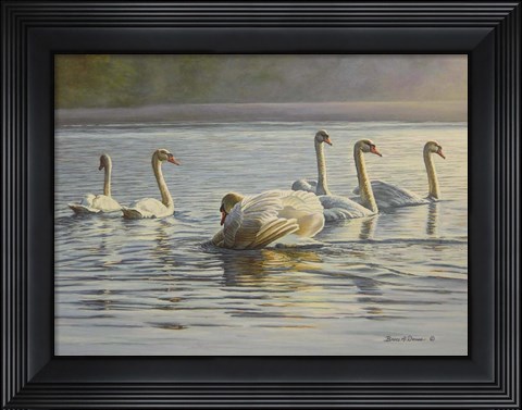 Framed Hanover Swans Six Print