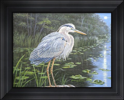 Framed Blue Heron Moon Print