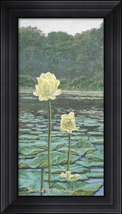 Framed Lily Print