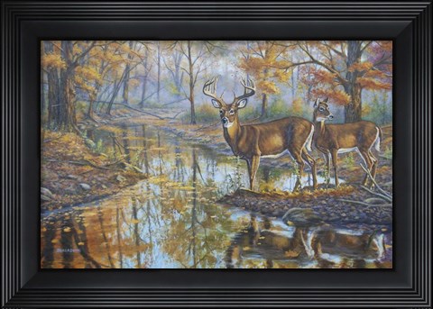 Framed Brookside Retreat - Whitetails Print