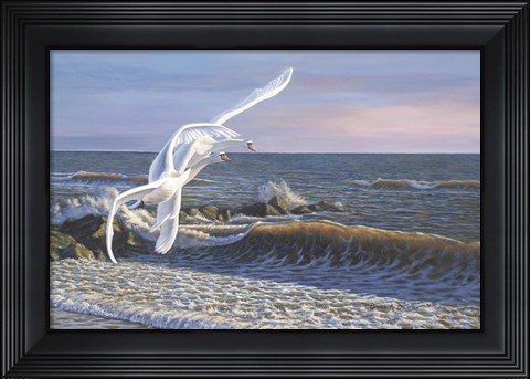 Framed Wave Skimmers Print