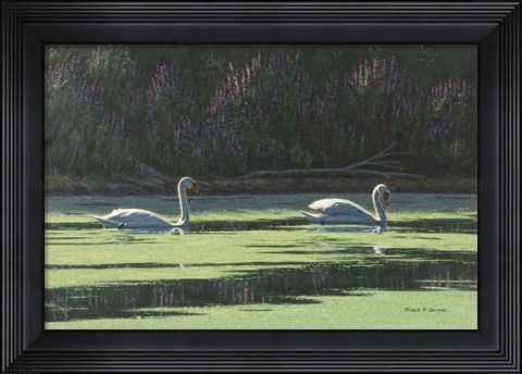 Framed Lovers Cruise Print