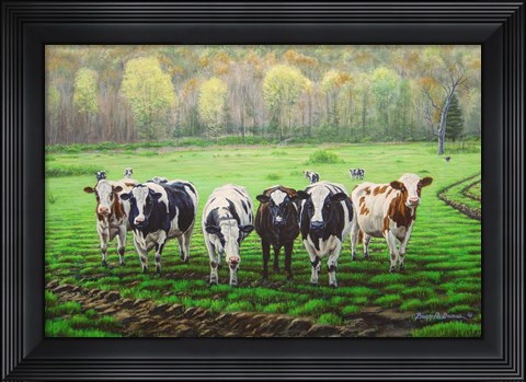 Framed Curious Cows Print