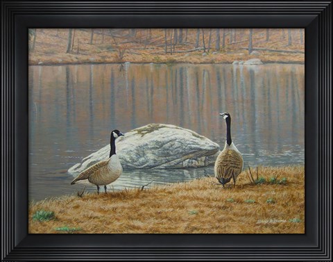 Framed South Carolina Geese Print